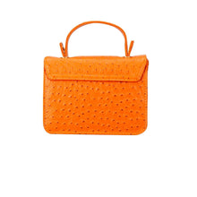 Alicia Leather Handbag